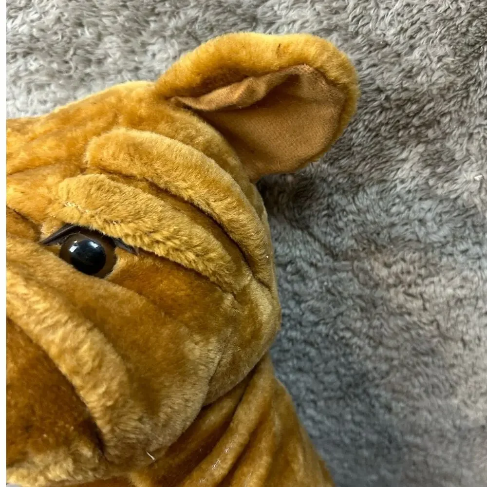 N/A wrinkles shar